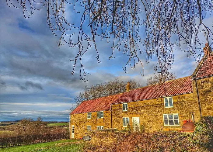 Bed & Breakfast Park House 3*