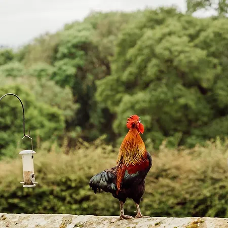 Park House 3* Ingleby Arncliffe