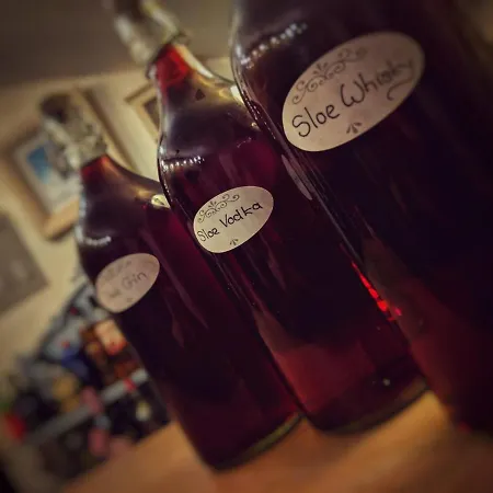 住宿加早餐酒店 Park House Ingleby Arncliffe