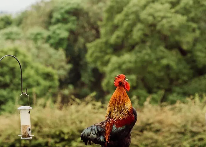 Park House 3* Ingleby Arncliffe